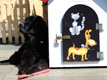 Purebred Dogs are Victims of Abandoning, too