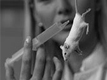 Scientists for Science without the Use of Animals!