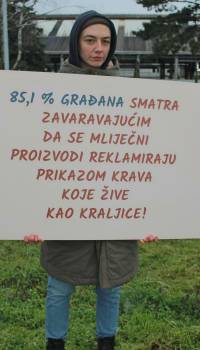 Prosvjed ispred farme Belja Mitrovac [ 366.02 Kb ]