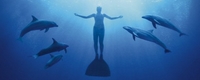 Zaljev - The Cove - film