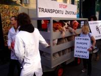 Prosvjed protiv transporta ivotinja 2010. 22 [ 137.32 Kb ]