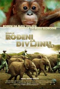 Rođeni za divljinu Rođeni za divljinu