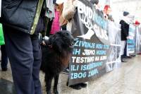 Marš za životinje, foto: Ana Mihalić [ 349.43 Kb ]