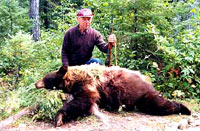 Hunted down bear [ 43.76 Kb ]