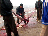 Dog meat 9 [ 41.32 Kb ]