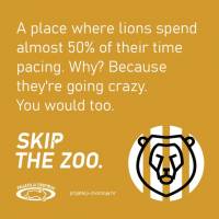 Skip the zoo [ 70.25 Kb ]