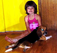 The beagle at home 12 [ 39.02 Kb ]