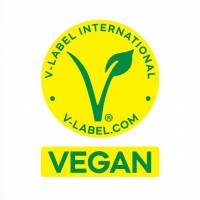 v label logo 2023 [ 37.80 Kb ]