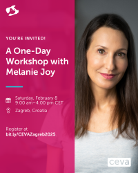 CEVA workshop in Zagreb