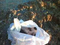 Poreč, 06. 04. 2005. - Tek rođeni mačići potopljeni u plastičnoj vrećici u moru 2 [ 24.37 Kb ]