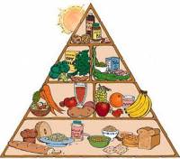 Prehrambena piramida [ 24.30 Kb ]