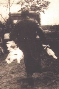 Vjena Treblinka naslovnica - njemaki vojnik [ 23.95 Kb ]