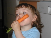 Djeca i vegetarijanstvo 3