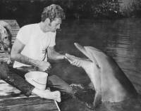 Ric O'Barry - Photo copyright Dolphin Project archives [ 40.02 Kb ]