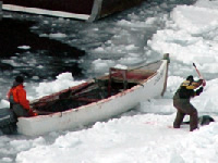 HSUS: Seal hunt 2007.