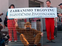 Protiv trgovine egzotičnim životinjama