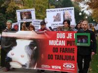 Protest against live animal transport 17 [ 121.46 Kb ]