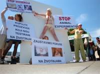 For science without animal experiments