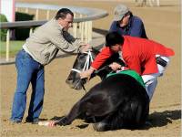 Treniranje konja, Izvor:  Brian Bohannon-Associated Press [ 40.80 Kb ]