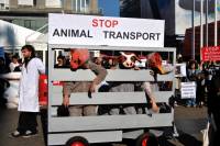 Prosvjed protiv transporta životinja 2010.  15 [ 225.10 Kb ]
