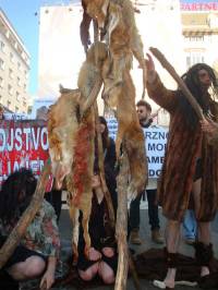 Demo against fur 2011 [ 162.95 Kb ]