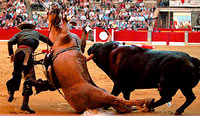 Bull-fighting and Fiesta - 23 [ 26.13 Kb ]