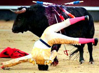 Budding Bullfighters 4 [ 19.32 Kb ]