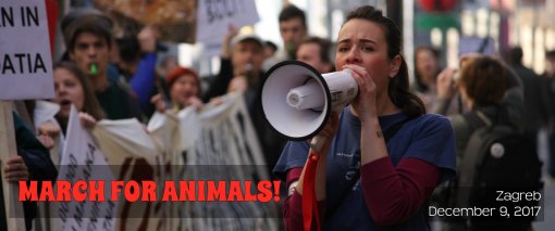 March for animals [ 249.26 Kb ]