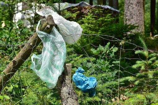 Plastic bags in environment [ 504.14 Kb ]