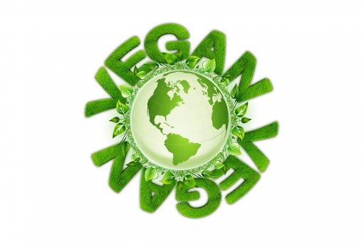 vegan [ 384.57 Kb ]
