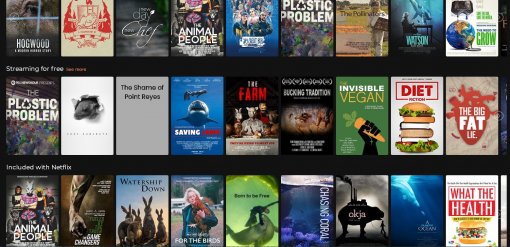 movies about veganism [ 266.13 Kb ]