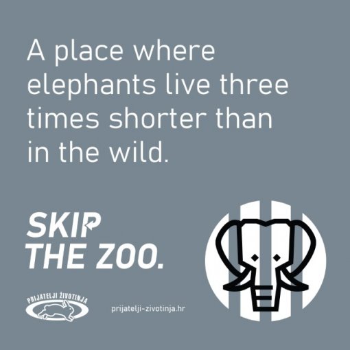 Skip the zoo [ 52.02 Kb ]