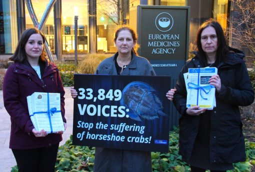 testiranje [ 246.71 Kb ]