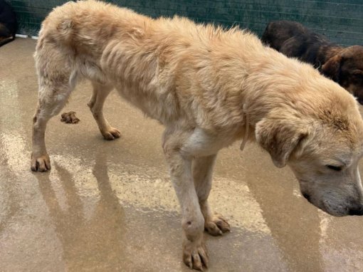 as eko pas [ 168.84 Kb ]