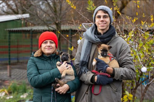 skloni�te Pobjede [ 163.51 Kb ]