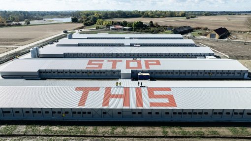 stop this shit [ 221.10 Kb ]