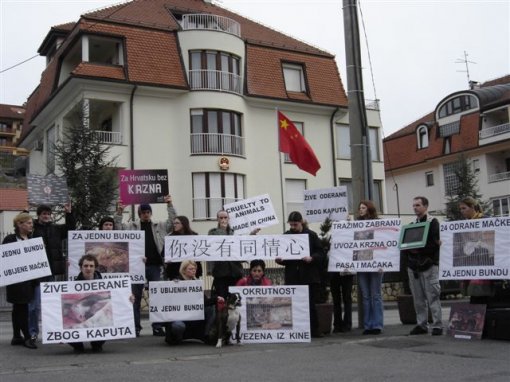 Protest in front of the Chinese Embassy 5