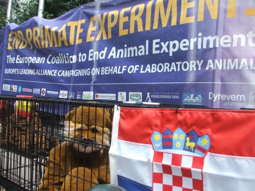 End primate experiments 2 [ 170.39 Kb ]