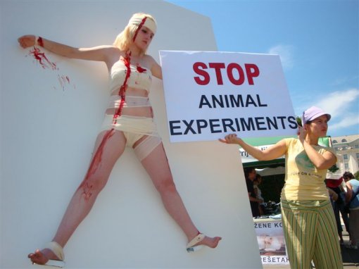Dan borbe protiv pokusa na životinjama [ 64.40 Kb ]
