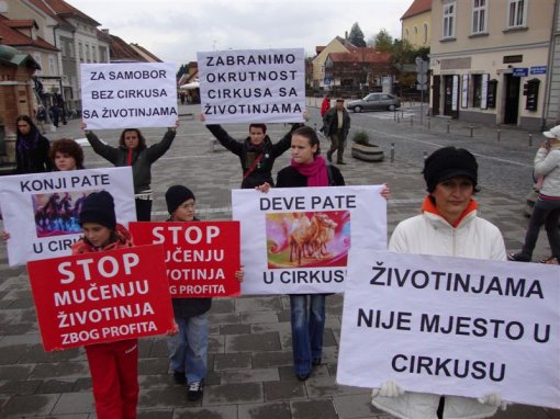 Protest against circuses in Samobor 2 [ 114.06 Kb ]