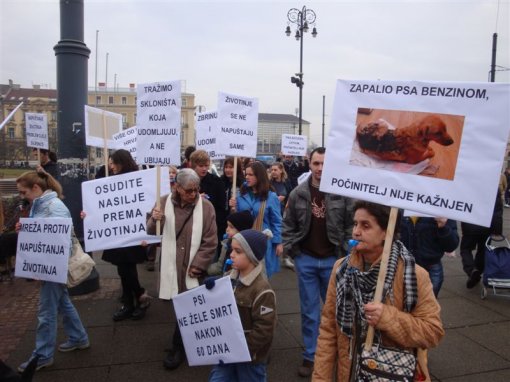 Protest for the implementation of the Animal Protection Act 6 [ 96.62 Kb ]