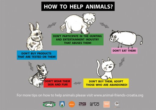 Billboard How to Help Animals eng [ 253.86 Kb ]