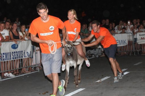 Jackass on a donkey - Photo: Tris/H. Pavic [ 208.12 Kb ]
